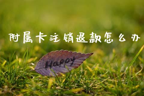 附属卡注销退款怎么办_https://www.apanben.com_股票怎么玩_第1张