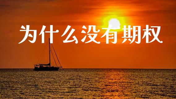 为什么没有期权_https://www.apanben.com_期货学院_第1张