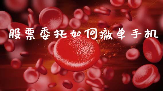 股票委托如何撤单手机_https://www.apanben.com_国际财经_第1张