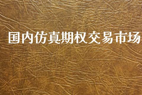 国内仿真期权交易市场_https://www.apanben.com_国际期货_第1张