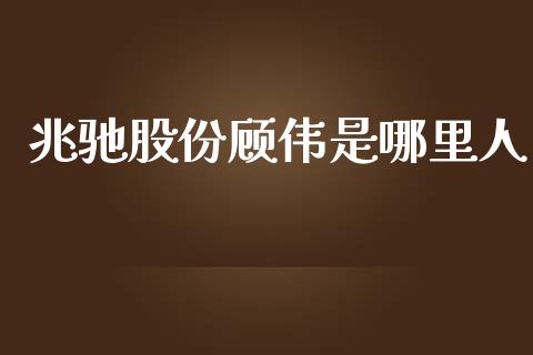 兆驰股份顾伟是哪里人_https://www.apanben.com_期货学院_第1张