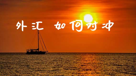 外汇 如何对冲_https://www.apanben.com_股市指导_第1张