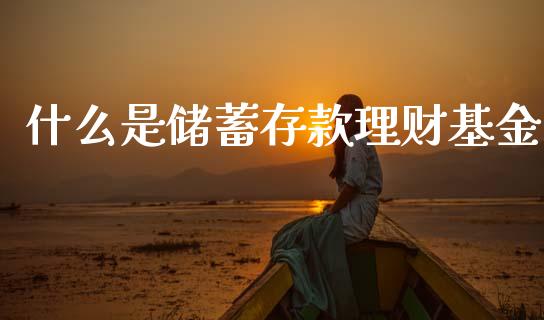 什么是储蓄存款理财基金_https://www.apanben.com_国际财经_第1张