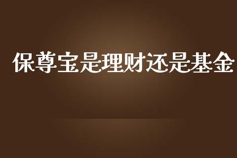 保尊宝是理财还是基金_https://www.apanben.com_国际财经_第1张