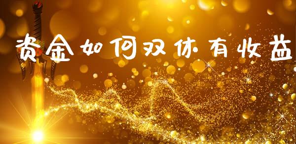 资金如何双休有收益_https://www.apanben.com_股市指导_第1张