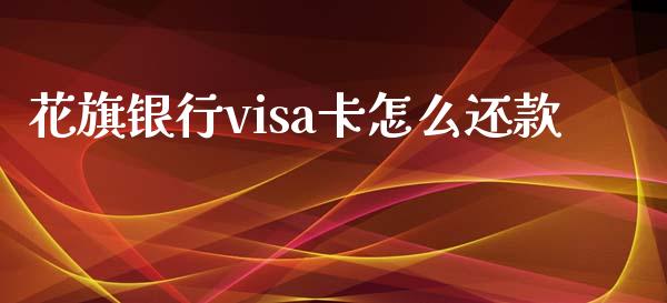 花旗银行visa卡怎么还款_https://www.apanben.com_国际财经_第1张