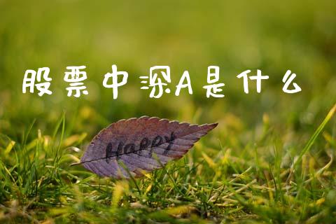 股票中深A是什么_https://www.apanben.com_在线喊单_第1张