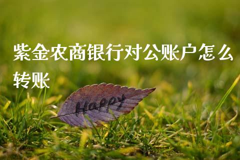 紫金农商银行对公账户怎么转账_https://www.apanben.com_国际期货_第1张