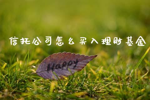 信托公司怎么买入理财基金_https://www.apanben.com_国际财经_第1张