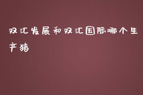 双汇发展和双汇国际哪个生产猪_https://www.apanben.com_期货学院_第1张