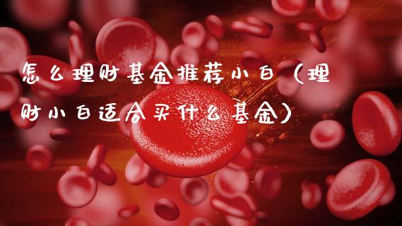 怎么理财基金推荐小白（理财小白适合买什么基金）_https://www.apanben.com_国际财经_第1张