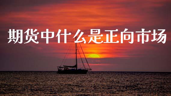 期货中什么是正向市场_https://www.apanben.com_国际期货_第1张