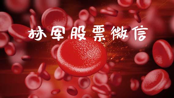 林军股票微信_https://www.apanben.com_股市指导_第1张