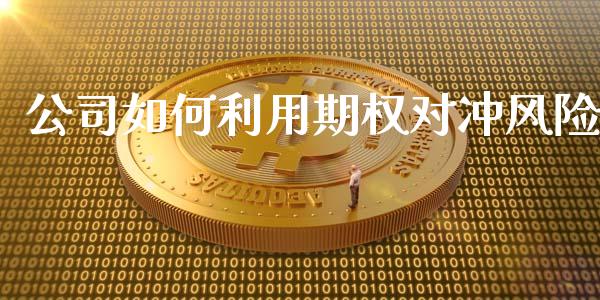 公司如何利用期权对冲风险_https://www.apanben.com_国际财经_第1张