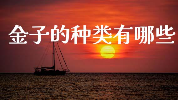 金子的种类有哪些_https://www.apanben.com_国际期货_第1张