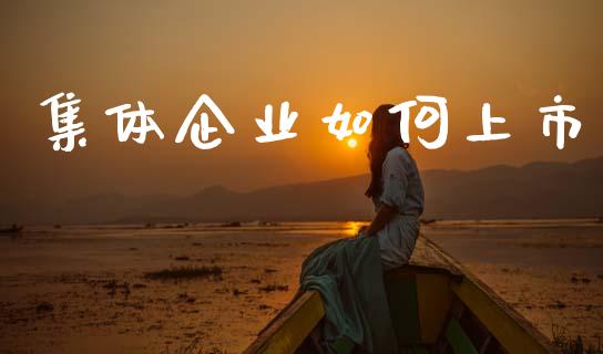 集体企业如何上市_https://www.apanben.com_国际财经_第1张