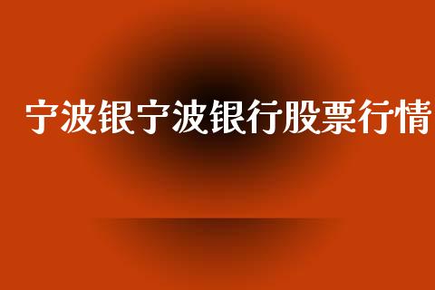 宁波银宁波银行股票行情_https://www.apanben.com_股市分析_第1张
