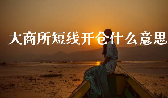 大商所短线开仓什么意思_https://www.apanben.com_国际财经_第1张