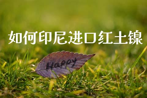 如何印尼进口红土镍_https://www.apanben.com_国际期货_第1张