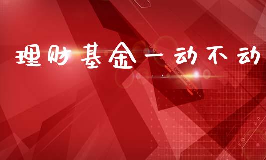 理财基金一动不动_https://www.apanben.com_财经资讯_第1张