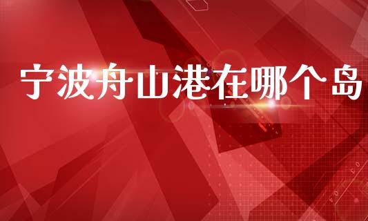 宁波舟山港在哪个岛_https://www.apanben.com_在线喊单_第1张