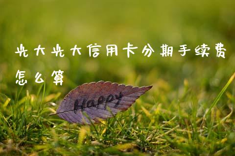 光大光大信用卡分期手续费怎么算_https://www.apanben.com_期货学院_第1张