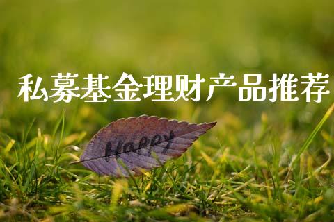 私募基金理财产品推荐_https://www.apanben.com_国际财经_第1张