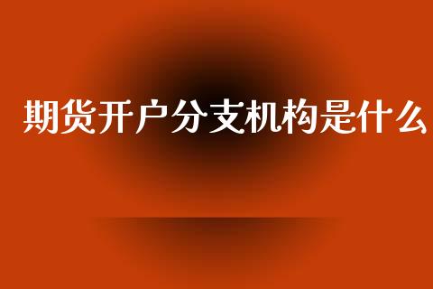 期货开户分支机构是什么_https://www.apanben.com_国际期货_第1张