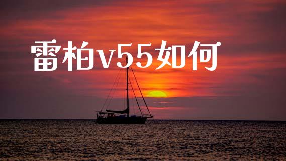 雷柏v55如何_https://www.apanben.com_国际期货_第1张