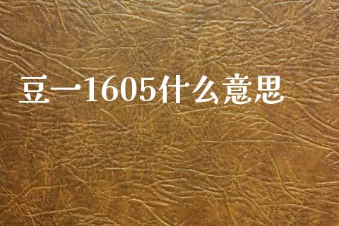 豆一1605什么意思_https://www.apanben.com_期货学院_第1张