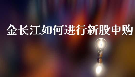 金长江如何进行新股申购_https://www.apanben.com_期货学院_第1张