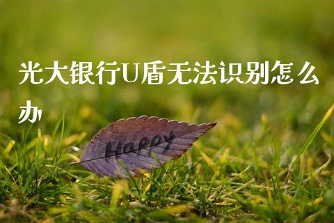 光大银行U盾无法识别怎么办_https://www.apanben.com_股市指导_第1张