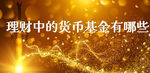 理财中的货币基金有哪些_https://www.apanben.com_财经资讯_第1张