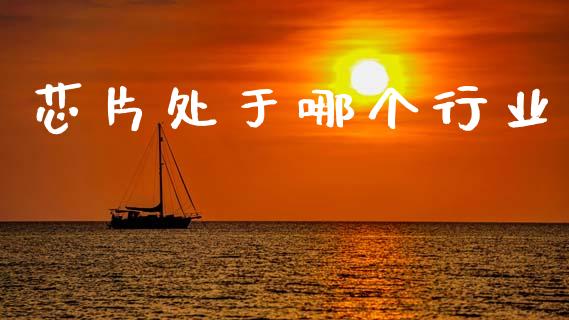 芯片处于哪个行业_https://www.apanben.com_国际财经_第1张