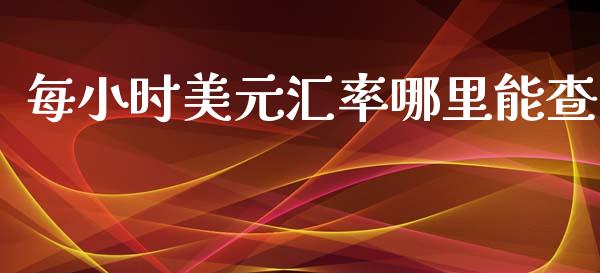 每小时美元汇率哪里能查_https://www.apanben.com_在线喊单_第1张