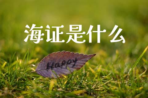 海证是什么_https://www.apanben.com_股市指导_第1张
