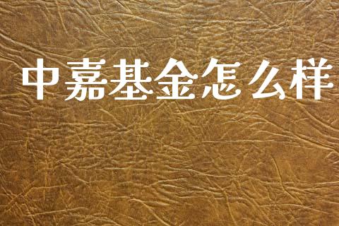 中嘉基金怎么样_https://www.apanben.com_在线喊单_第1张