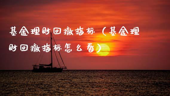 基金理财回撤指标（基金理财回撤指标怎么看）_https://www.apanben.com_财经资讯_第1张