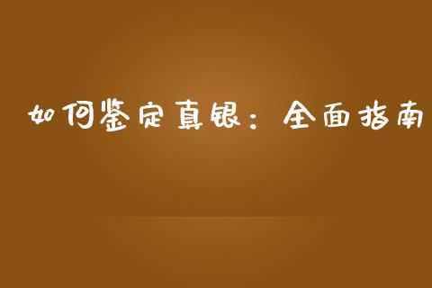 如何鉴定真银：全面指南_https://www.apanben.com_股市分析_第1张