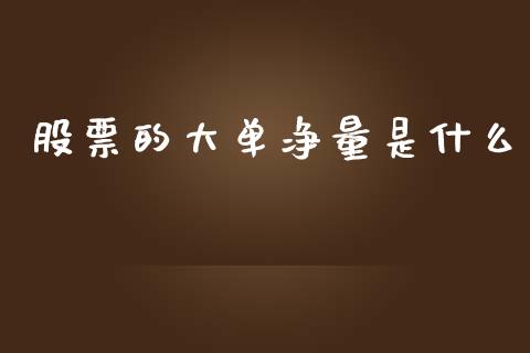 股票的大单净量是什么_股市指导_第1张_安贝财经网 股票的大单净量是什么_https://www.apanben.com_股市指导_第1张
