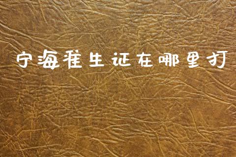 宁海准生证在哪里打_https://www.apanben.com_在线喊单_第1张