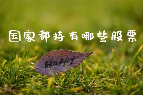 国家都持有哪些股票_https://www.apanben.com_国际财经_第1张