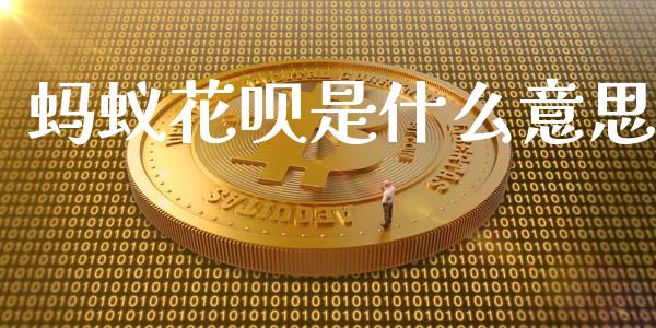 蚂蚁花呗是什么意思_https://www.apanben.com_期货学院_第1张