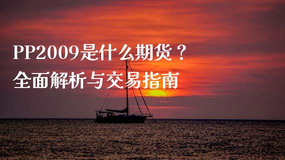 PP2009是什么期货？全面解析与交易指南_https://www.apanben.com_股票怎么玩_第1张