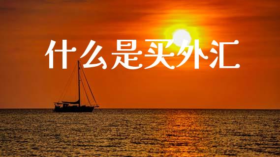 什么是买外汇_https://www.apanben.com_股票怎么玩_第1张