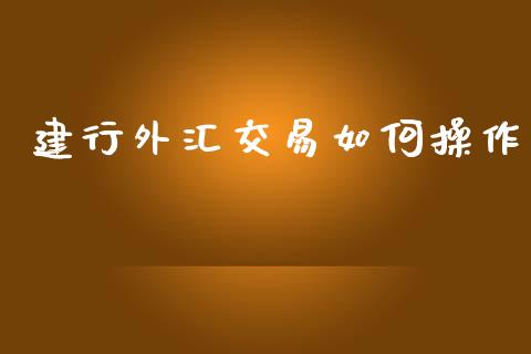 建行外汇交易如何操作_https://www.apanben.com_国际期货_第1张