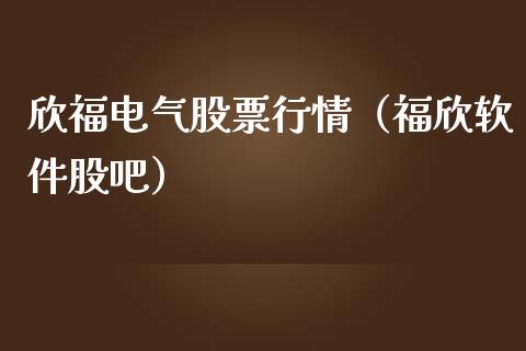 欣福电气股票行情（福欣软件股吧）_https://www.apanben.com_股市指导_第1张
