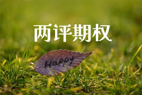两评期权_https://www.apanben.com_股市指导_第1张