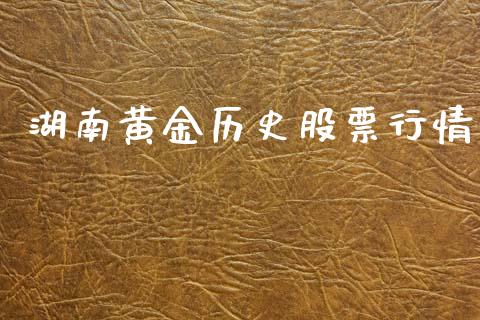 湖南黄金历史股票行情_https://www.apanben.com_股市分析_第1张