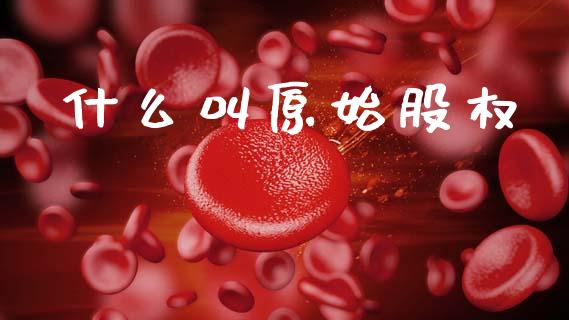 什么叫原始股权_https://www.apanben.com_财经资讯_第1张